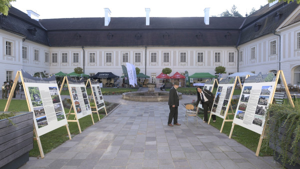 1737021215_48_msa_-_dsh_-_310824_-_fotoluzina_12.jpg