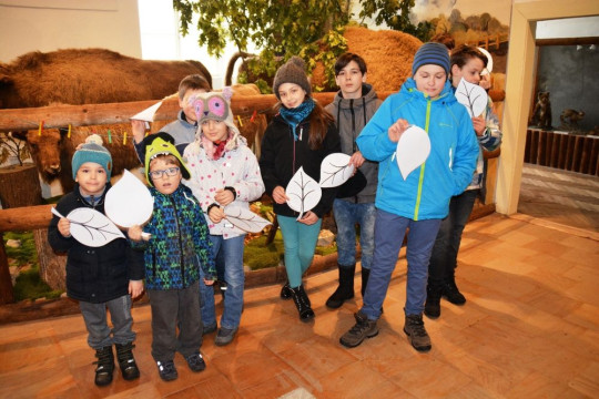 Listy pod snehom - foto 4