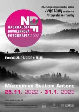 A legszebb ünnepi fotó 2022-ben - foto 5