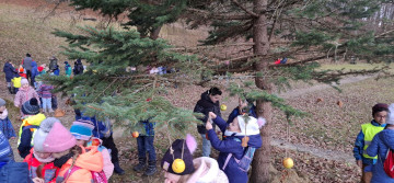 Vianoce pre zvieratká 2024 - foto 3