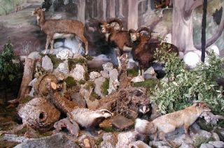 Hunting - Museum in Svätý Anton 2