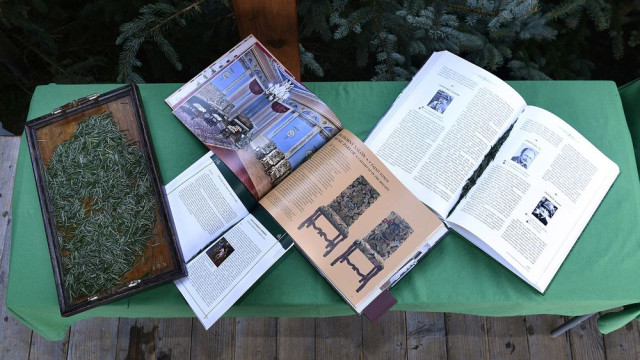 St. Hubert Days - 30th year - foto 20