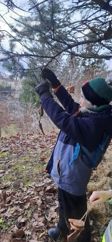 Vianoce pre zvieratká 2024 - foto 1