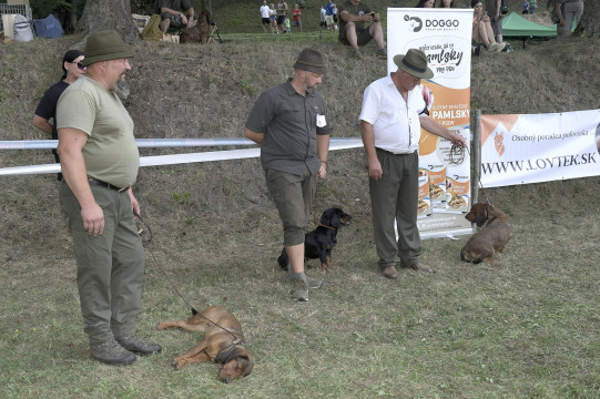 Dni sv. Huberta 2024 - foto 23