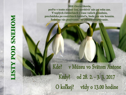 Listy pod snehom - foto 6