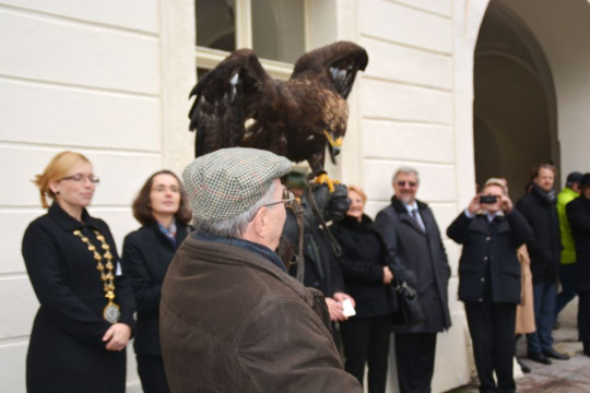 Návšteva veľvyslancov - foto 4
