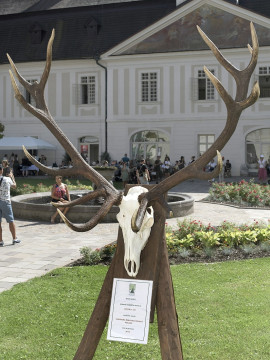 Dni sv. Huberta 2024 - foto 26